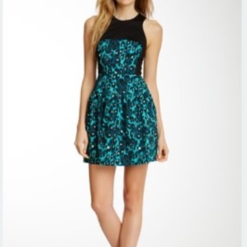 Brand New French Connection Winter Simba Dress